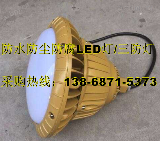 防水防尘防腐LED灯型号FAD-E50F 220VIP65法兰式安装