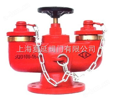 上海夏延阀门厂-多用式地下消防水泵接合器